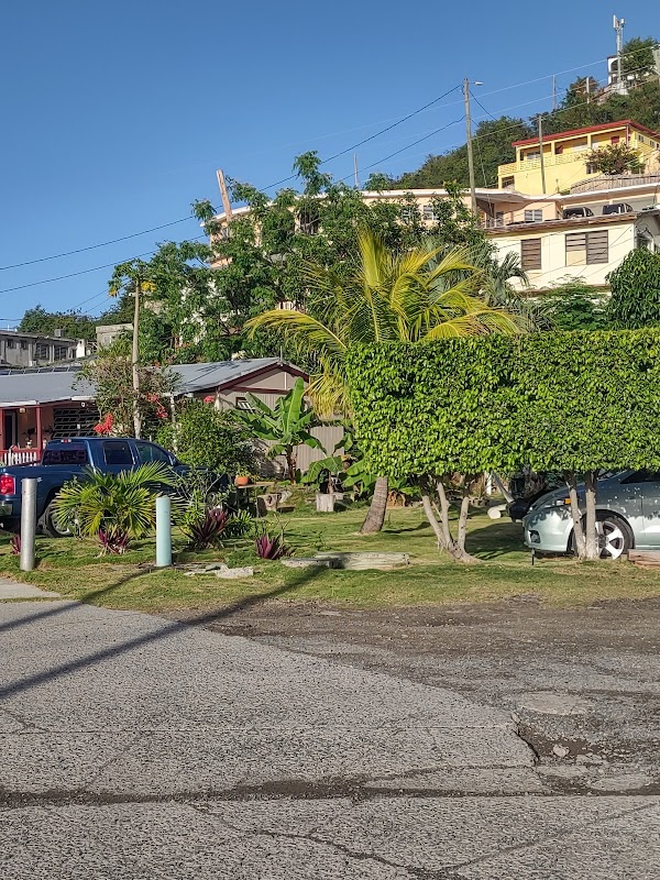 Charlotte Amalie 5