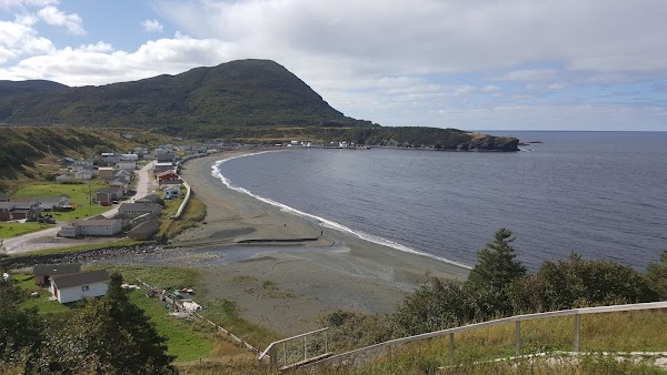Trout River