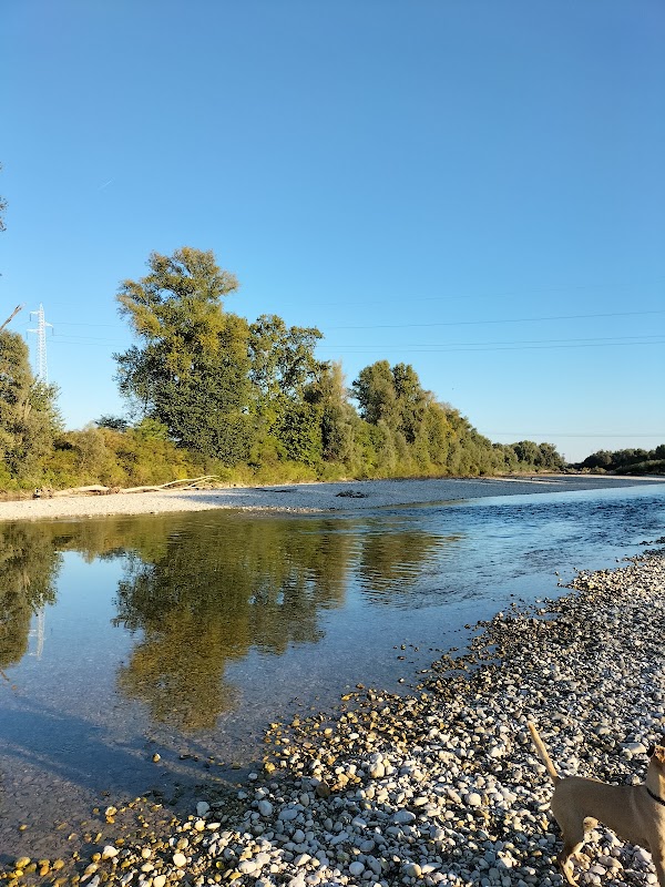 Piave 4