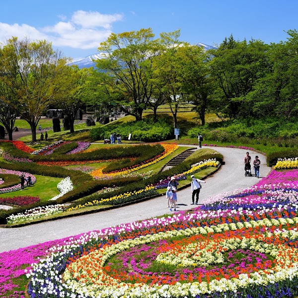 Michinoku National Park 5