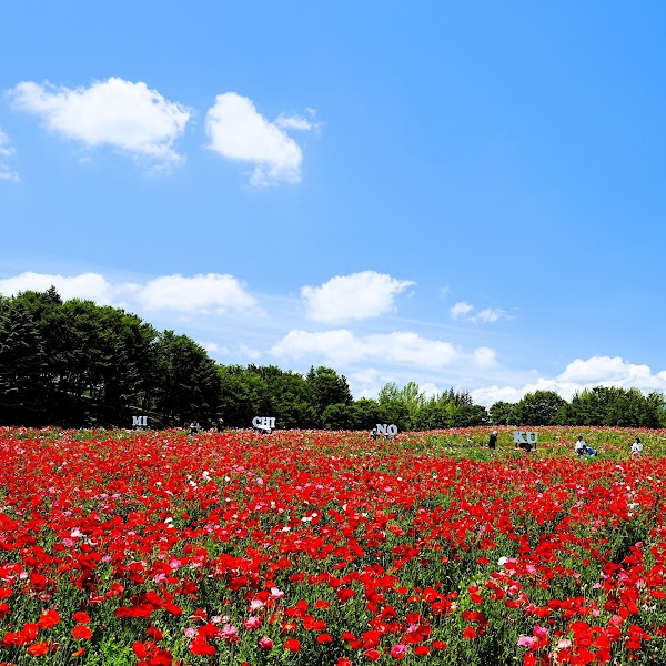 Michinoku National Park 2