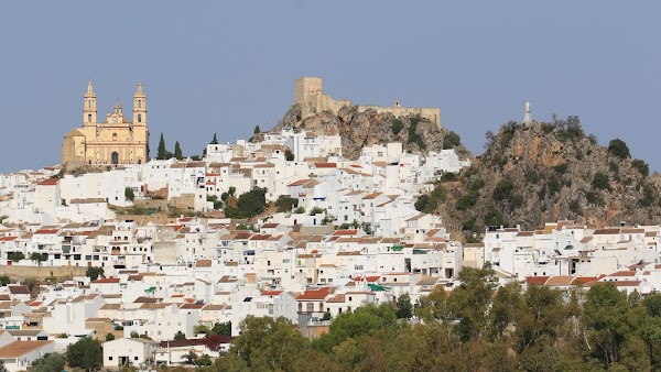 Olvera 1