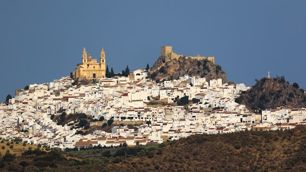 Olvera 5