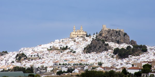 Olvera 3