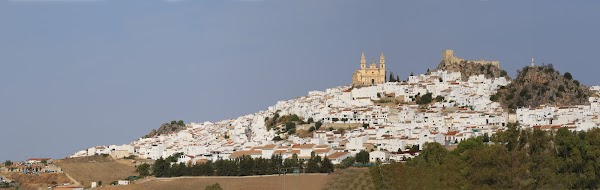 Olvera 2