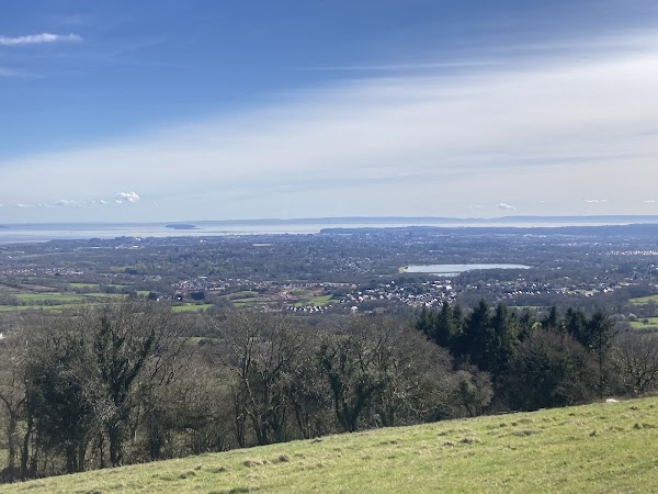 Llwyn Celyn