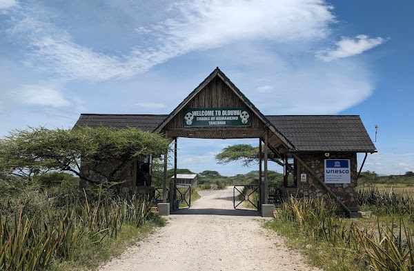 Olduvai Gorge Museum 4