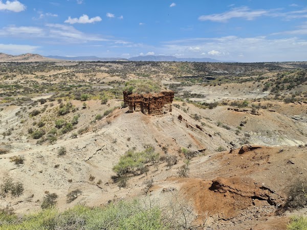 Olduvai Gorge Museum 2
