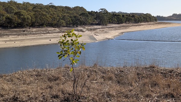 Myponga Reservoir 4