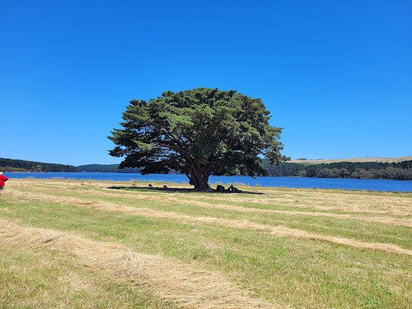 Myponga Reservoir 2