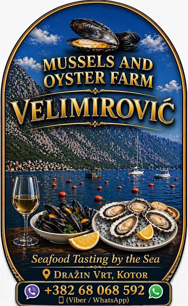 Velimirović 0yster & Mussel Farm 4
