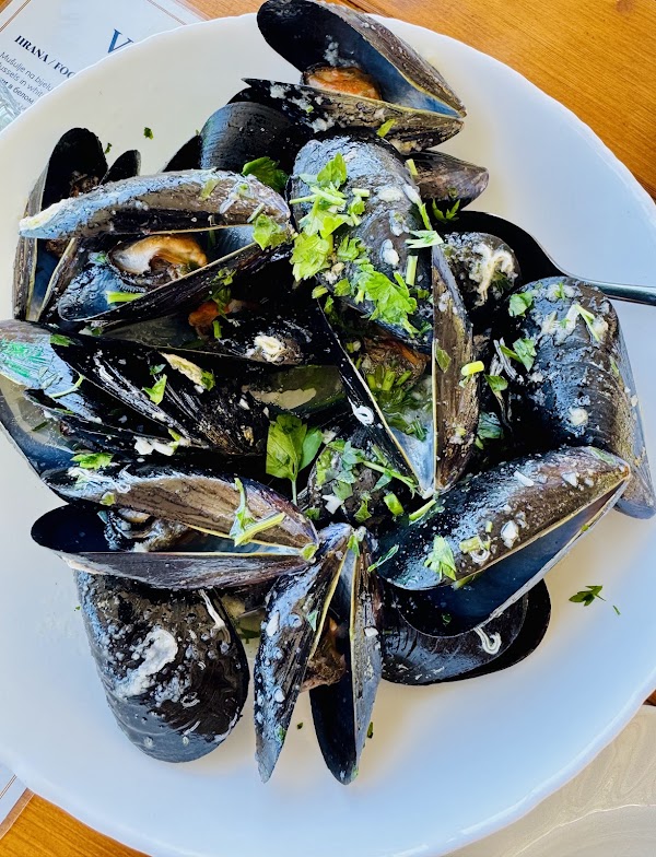Velimirović 0yster & Mussel Farm 3