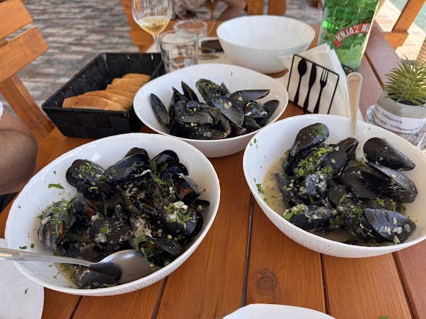 Velimirović 0yster & Mussel Farm 2