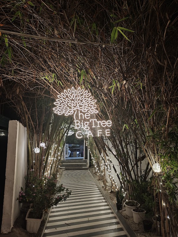 The Big Tree Cafe Golf Course Road | Big Tree Cafe 4