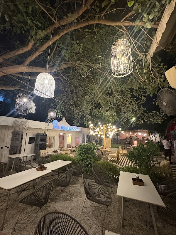 The Big Tree Cafe Golf Course Road | Big Tree Cafe 3