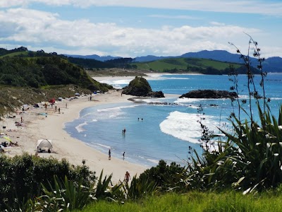 Tawharanui Regional Park