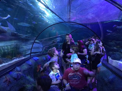 Gardaland Resort