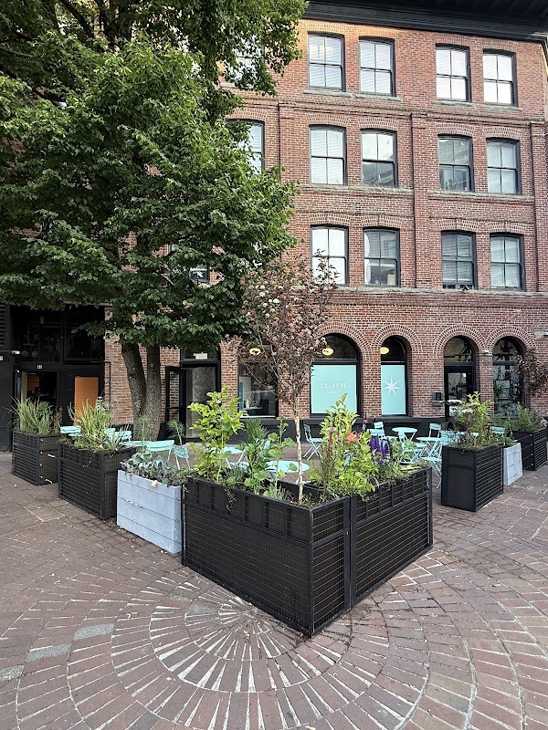 Celeste Gastown 3
