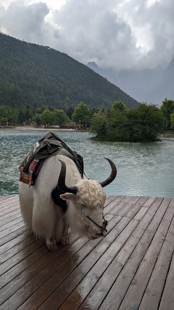 Jade Dragon Snow Mountain National Scenery Spot 3