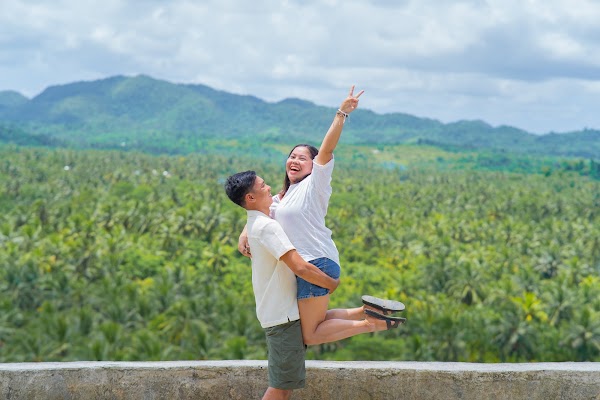 Coconut Plantation View Point 5