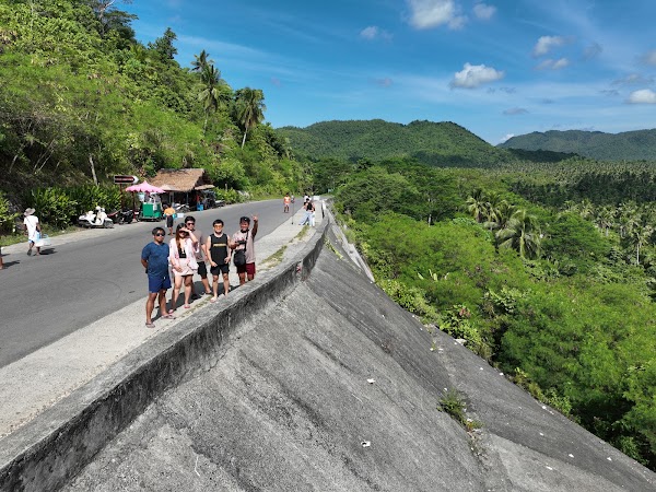 Coconut Plantation View Point 3