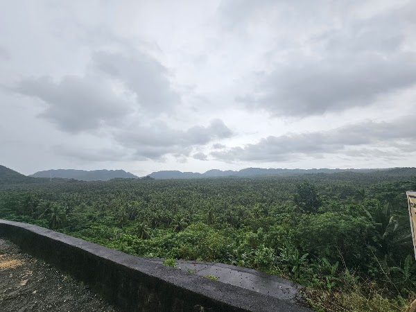 Coconut Plantation View Point 2