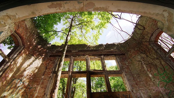 Baumkronenpfad Beelitz Tree & Time 1