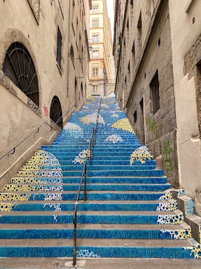 France 🇫🇷 6