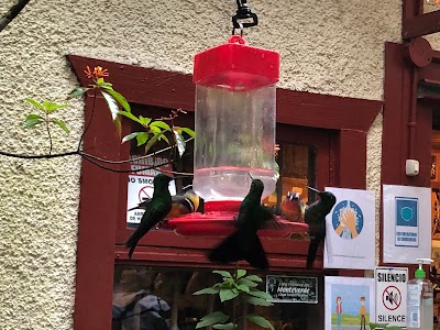Monteverde Hummingbird Gallery