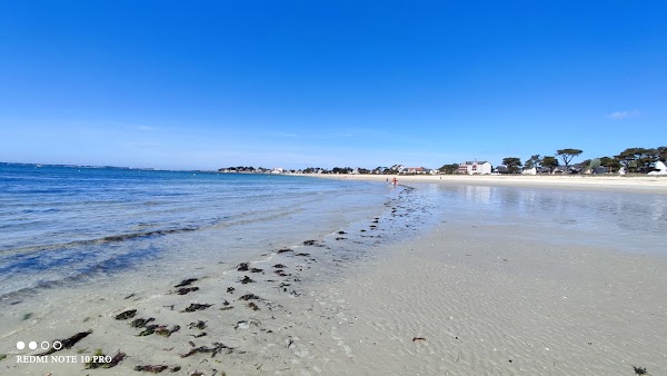 Grande plage de Carnac