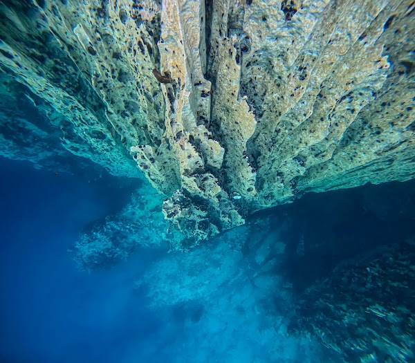Barracuda Lake 4