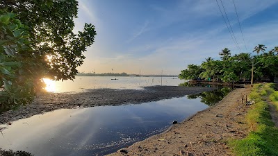 Kochi 2