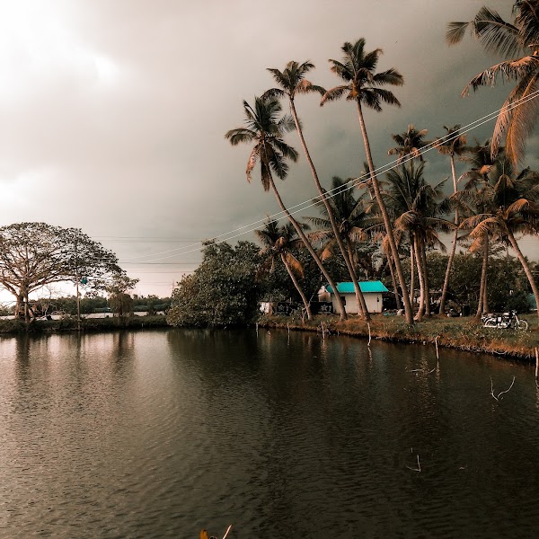 Kumbalangi 5