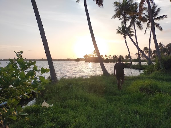 Kumbalangi 3