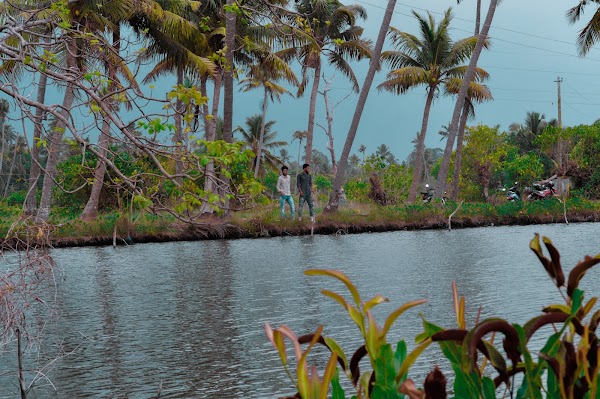 Kumbalangi 2