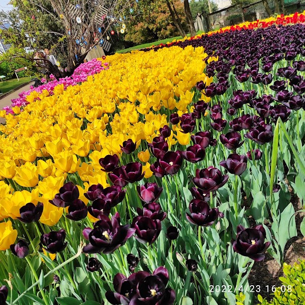 Nezahat Gökyiğit Botanical Garden 5