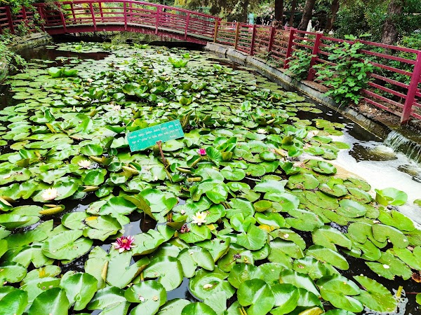 Nezahat Gökyiğit Botanical Garden 4