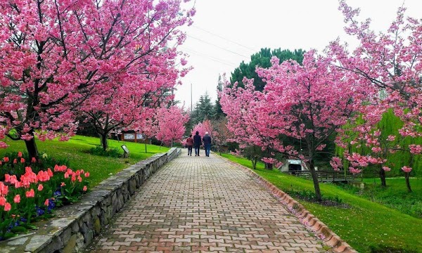 Nezahat Gökyiğit Botanical Garden 2
