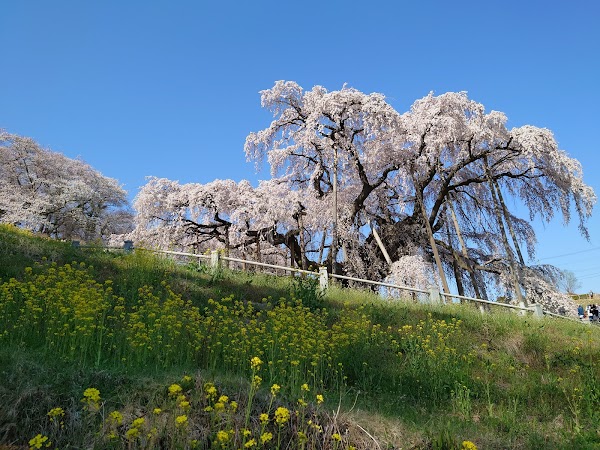 Japan 36