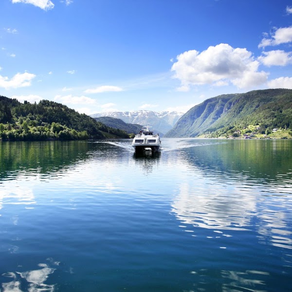 Hardangerfjord 5