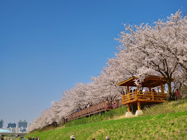 Anyangcheon Ecological Park