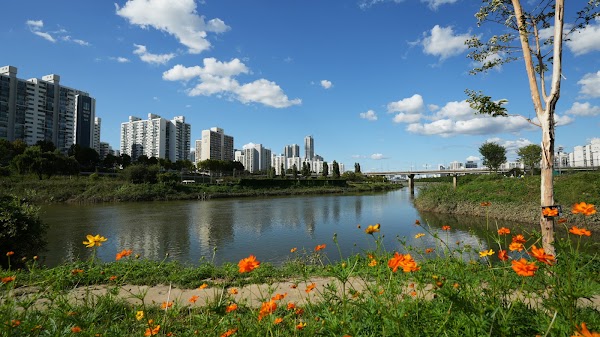 Anyangcheon Ecological Park 5