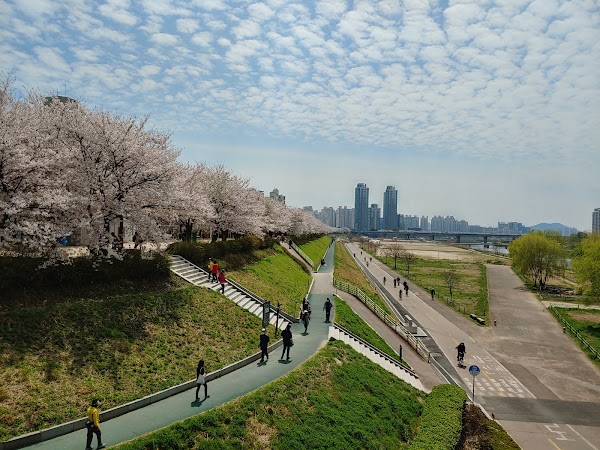 Anyangcheon Ecological Park 3