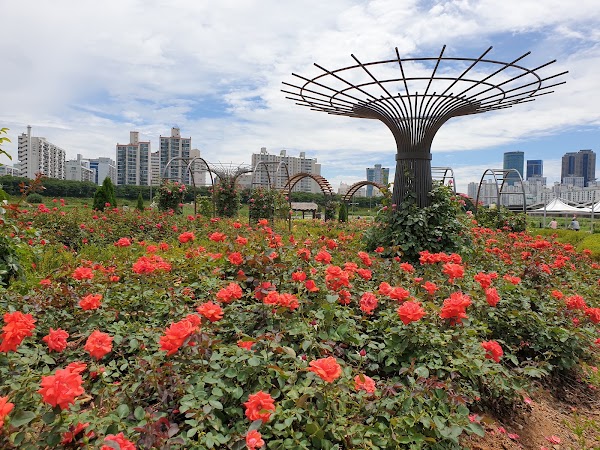 Anyangcheon Ecological Park 2