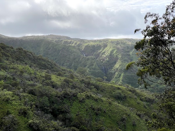 Waihee Ridge Trail 3