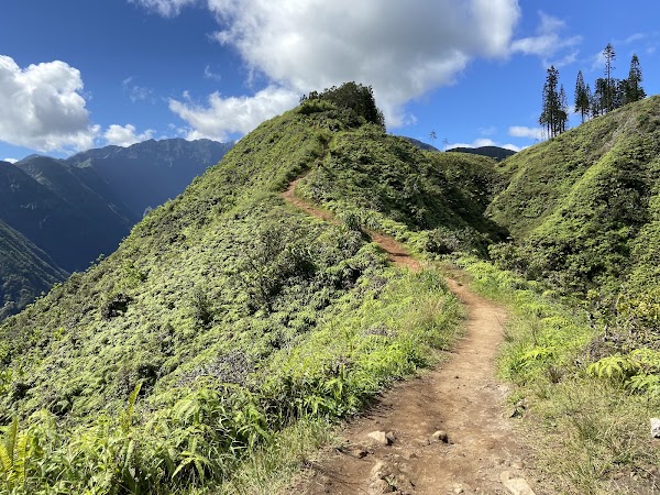 Waihee Ridge Trail 2