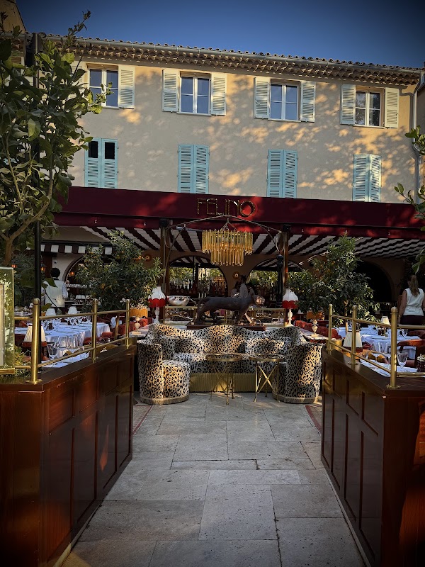 FELINO Saint-Tropez 3