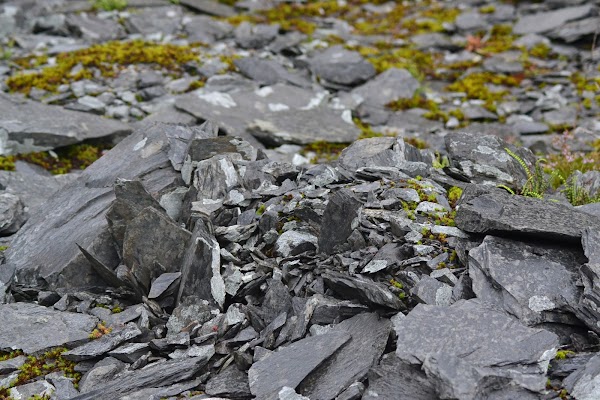 Aberllefenni Slate Quarries 2