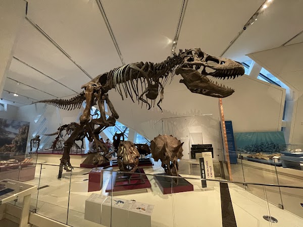 Royal Ontario Museum 5