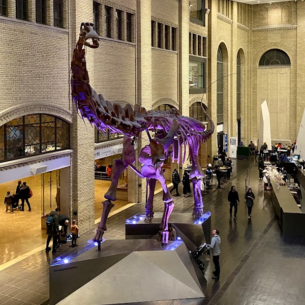 Royal Ontario Museum 3
